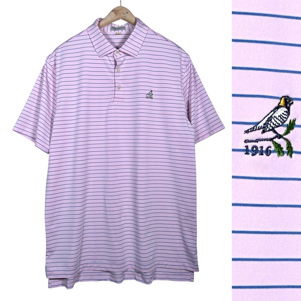 PETER MILLAR Summer Comfort Performance Polo pink & blue stripe